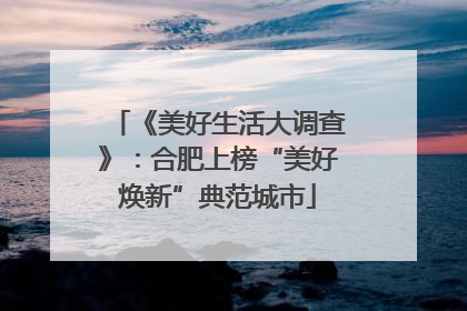 《美好生活大调查》：合肥上榜“美好焕新”典范城市