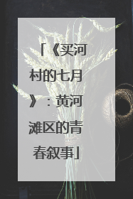 《买河村的七月》：黄河滩区的青春叙事