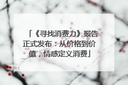 《寻找消费力》报告正式发布：从价格到价值，情感定义消费