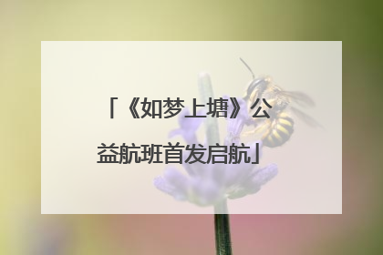 《如梦上塘》公益航班首发启航