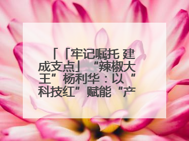 「牢记嘱托 建成支点」“辣椒大王”杨利华：以“科技红”赋能“产业绿”