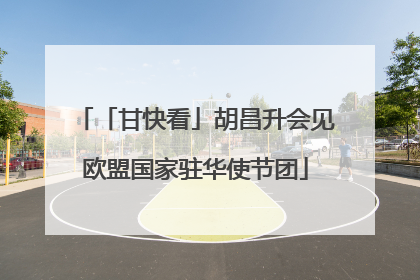 「甘快看」胡昌升会见欧盟国家驻华使节团