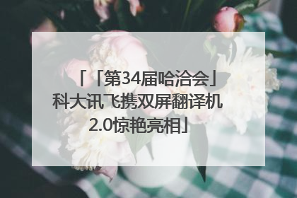 「第34届哈洽会」科大讯飞携双屏翻译机2.0惊艳亮相