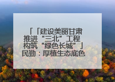 「建设美丽甘肃 推进“三北”工程 构筑“绿色长城”」民勤：厚植生态底色 筑牢绿色屏障