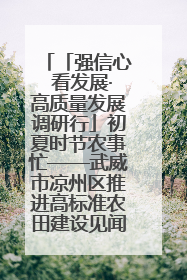 「强信心 看发展·高质量发展调研行」初夏时节农事忙——武威市凉州区推进高标准农田建设见闻