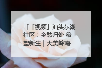 「视频」汕头东湖社区：乡愁归处 希望新生｜大美岭南·百村焕新记