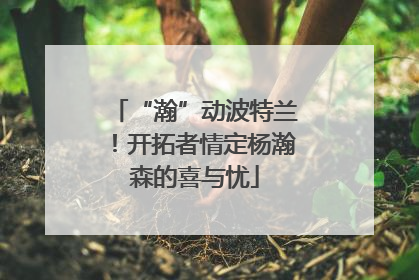 “瀚”动波特兰！开拓者情定杨瀚森的喜与忧