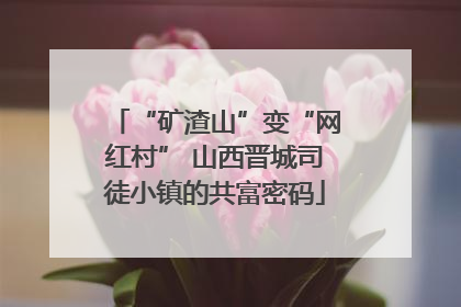 “矿渣山”变“网红村” 山西晋城司徒小镇的共富密码