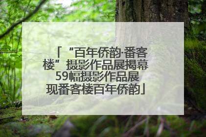 “百年侨韵·番客楼”摄影作品展揭幕 59幅摄影作品展现番客楼百年侨韵
