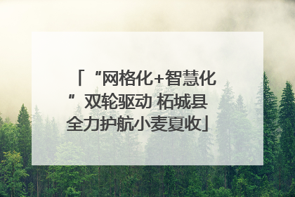 “网格化+智慧化”双轮驱动 柘城县全力护航小麦夏收