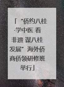 “侨约八桂·学中医 看非遗 谋八桂发展”海外侨商侨领研修班举行