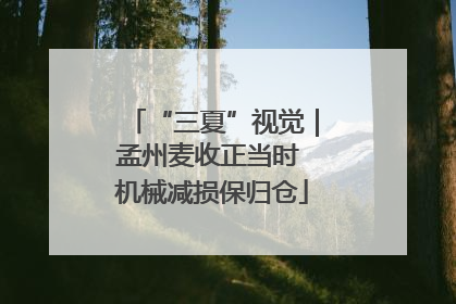 “三夏”视觉｜孟州麦收正当时 机械减损保归仓