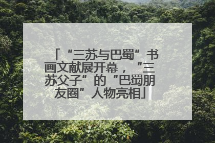 “三苏与巴蜀”书画文献展开幕，“三苏父子”的“巴蜀朋友圈”人物亮相