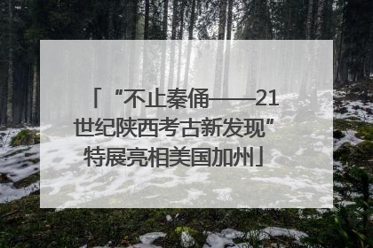 “不止秦俑——21世纪陕西考古新发现”特展亮相美国加州