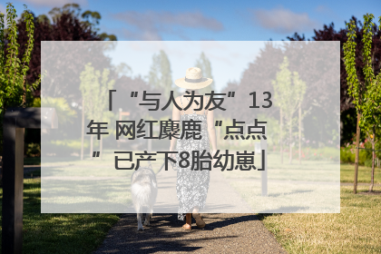 “与人为友”13年 网红麋鹿“点点”已产下8胎幼崽
