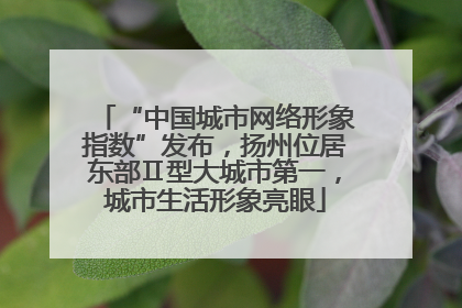 “中国城市网络形象指数”发布，扬州位居东部Ⅱ型大城市第一，城市生活形象亮眼