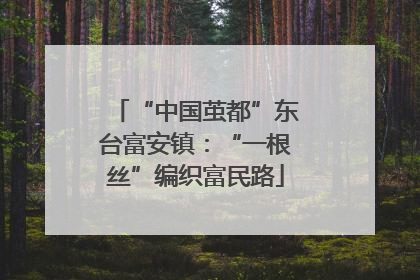 “中国茧都”东台富安镇：“一根丝”编织富民路