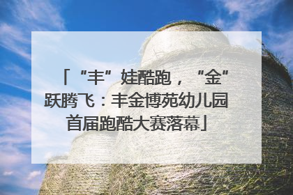“丰”娃酷跑，“金”跃腾飞：丰金博苑幼儿园首届跑酷大赛落幕