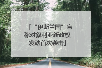 “伊斯兰国”宣称对叙利亚新政权发动首次袭击