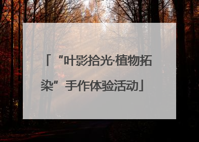 “叶影拾光·植物拓染”手作体验活动