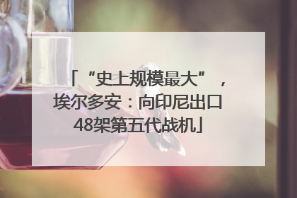 “史上规模最大”，埃尔多安：向印尼出口48架第五代战机