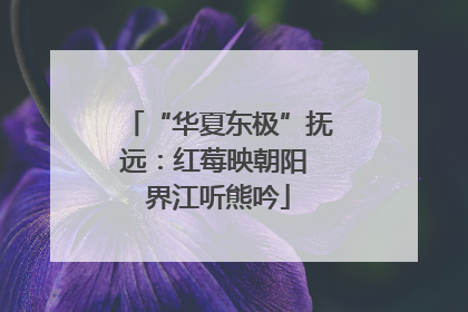 “华夏东极”抚远：红莓映朝阳 界江听熊吟