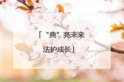 “典”亮未来 法护成长