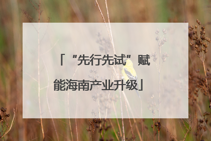“先行先试”赋能海南产业升级