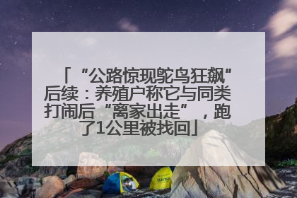 “公路惊现鸵鸟狂飙”后续：养殖户称它与同类打闹后“离家出走”，跑了1公里被找回