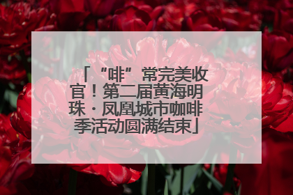 “啡”常完美收官！第二届黄海明珠・凤凰城市咖啡季活动圆满结束