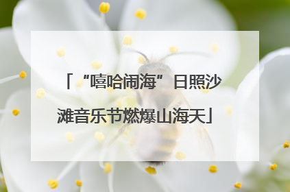 “嘻哈闹海”日照沙滩音乐节燃爆山海天