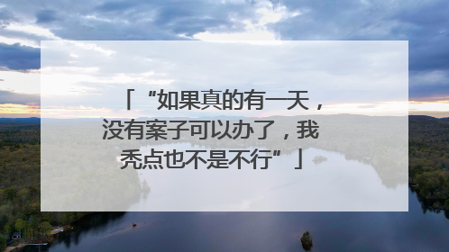 “如果真的有一天，没有案子可以办了，我秃点也不是不行”