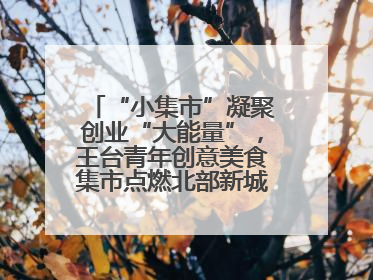 “小集市”凝聚创业“大能量”，王台青年创意美食集市点燃北部新城夜经济