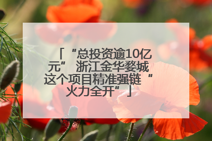 “总投资逾10亿元” 浙江金华婺城这个项目精准强链“火力全开”