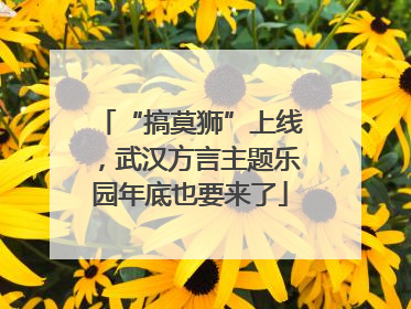 “搞莫狮”上线，武汉方言主题乐园年底也要来了