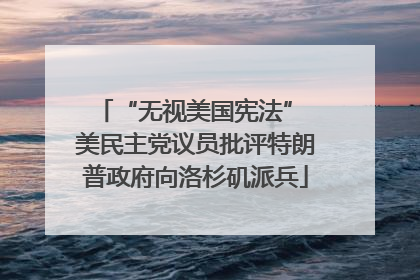 “无视美国宪法” 美民主党议员批评特朗普政府向洛杉矶派兵