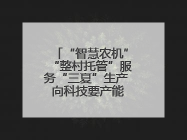 “智慧农机”“整村托管”服务“三夏”生产 向科技要产能筑牢丰产基础