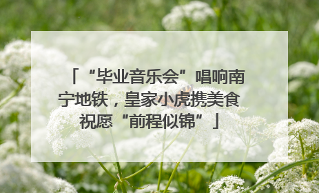 “毕业音乐会”唱响南宁地铁，皇家小虎携美食祝愿“前程似锦”