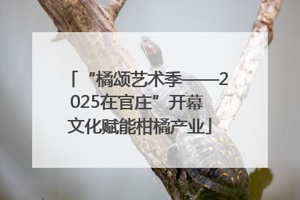 “橘颂艺术季——2025在官庄”开幕 文化赋能柑橘产业