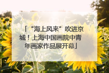 “海上风来”吹进京城！上海中国画院中青年画家作品展开幕