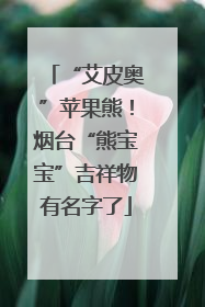 “艾皮奥”苹果熊！烟台“熊宝宝”吉祥物有名字了