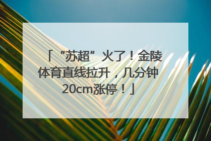 “苏超”火了！金陵体育直线拉升，几分钟20cm涨停！