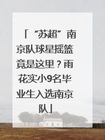 “苏超”南京队球星摇篮竟是这里？雨花实小9名毕业生入选南京队