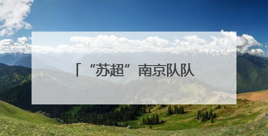 “苏超”南京队队徽是怎么来的？收藏家王世清细说源头