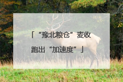 “豫北粮仓”麦收跑出“加速度”