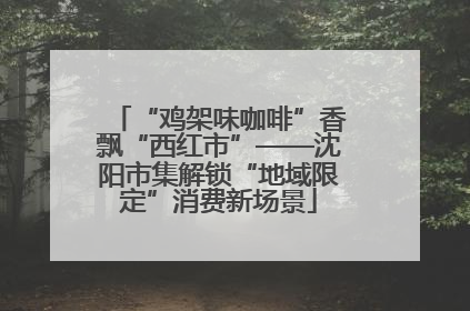 “鸡架味咖啡”香飘“西红市”——沈阳市集解锁“地域限定”消费新场景