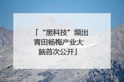 “黑科技”频出 青田杨梅产业大脑首次公开