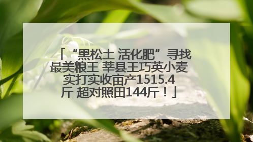 “黑松土 活化肥”寻找最美粮王 莘县王巧英小麦实打实收亩产1515.4斤 超对照田144斤！