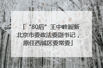 “80后”王中峰履新北京市委政法委副书记，原任西城区委常委