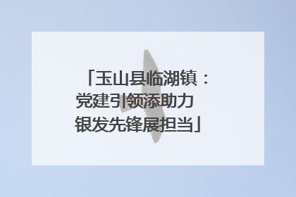 玉山县临湖镇：党建引领添助力 银发先锋展担当